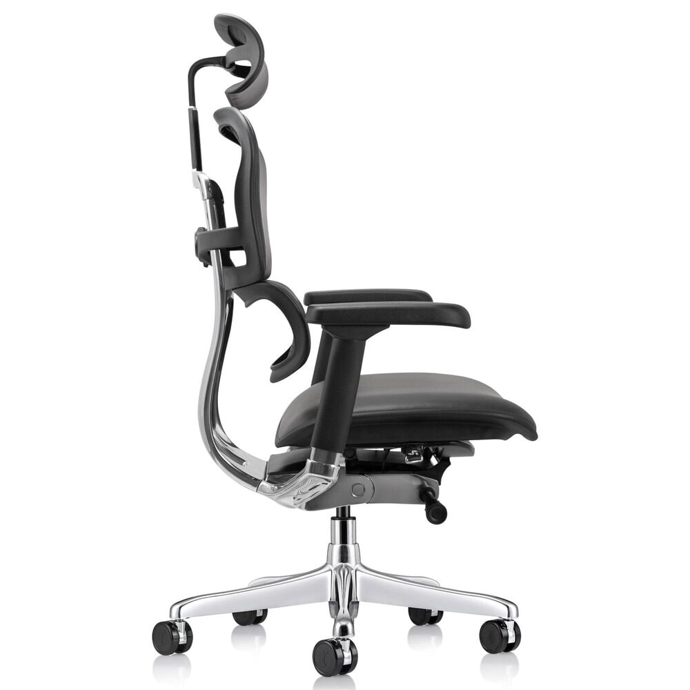Raynor Group Ergohuman High Back Leather Executive Chair in Black, , large