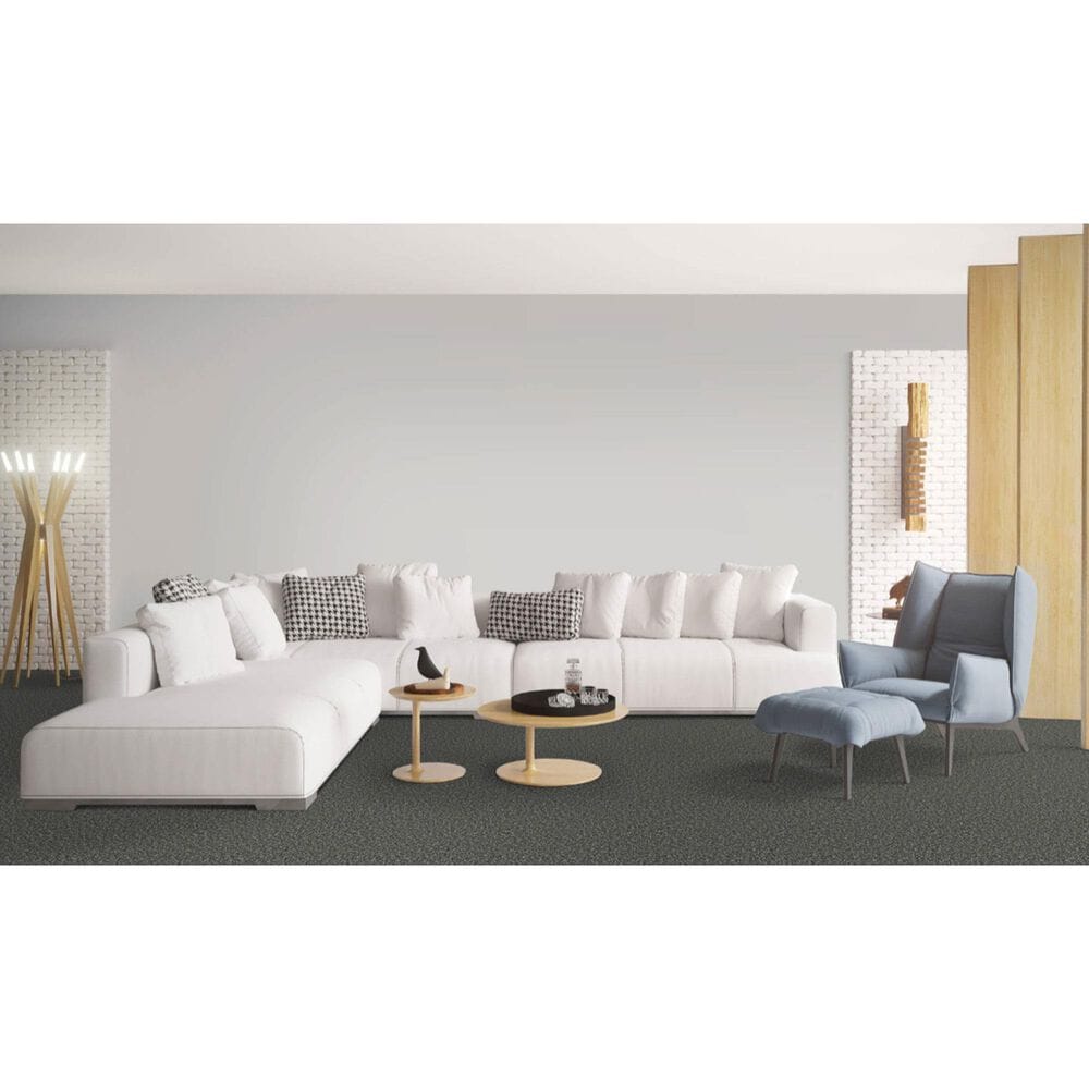 Dixie Home Riverbend Carpet in Onyx, , large