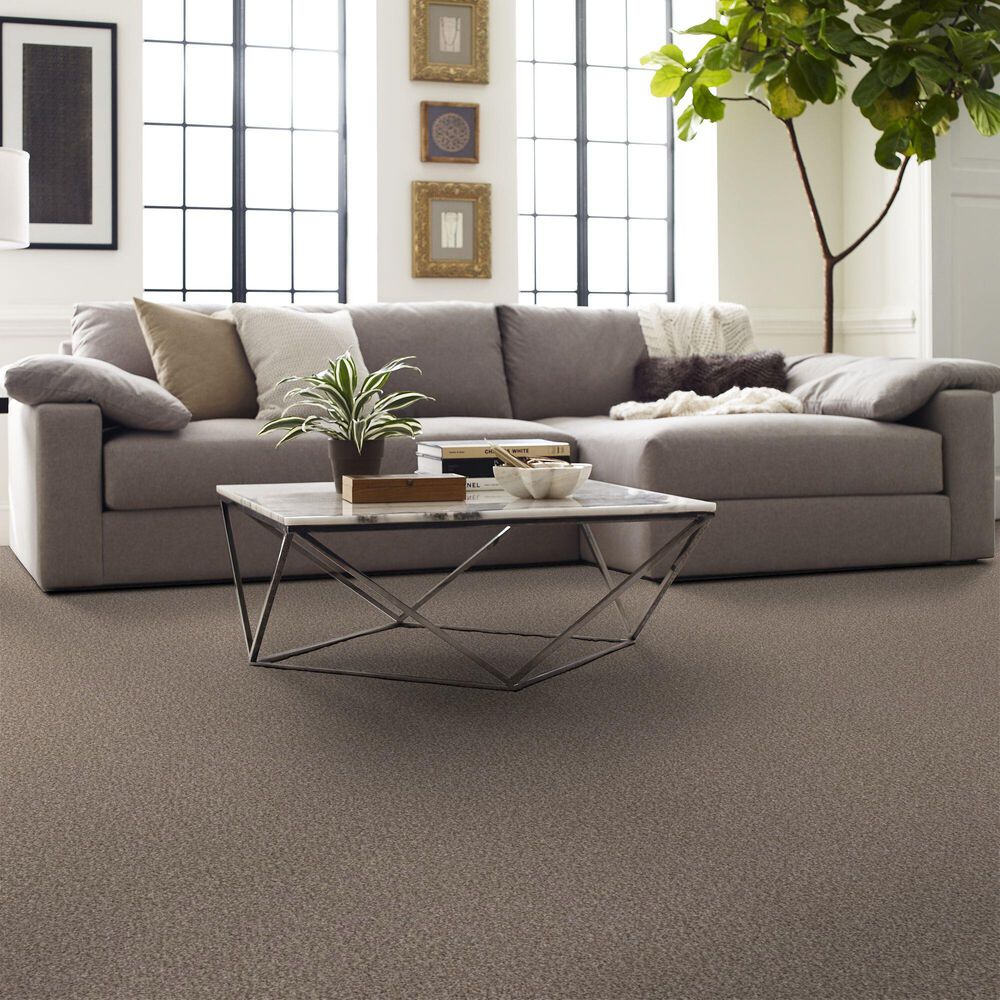 Shaw Yes You Can III Carpet in Glacier, , large