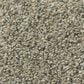 Shaw Simply the Best All Set II Carpet in Tree House, , large