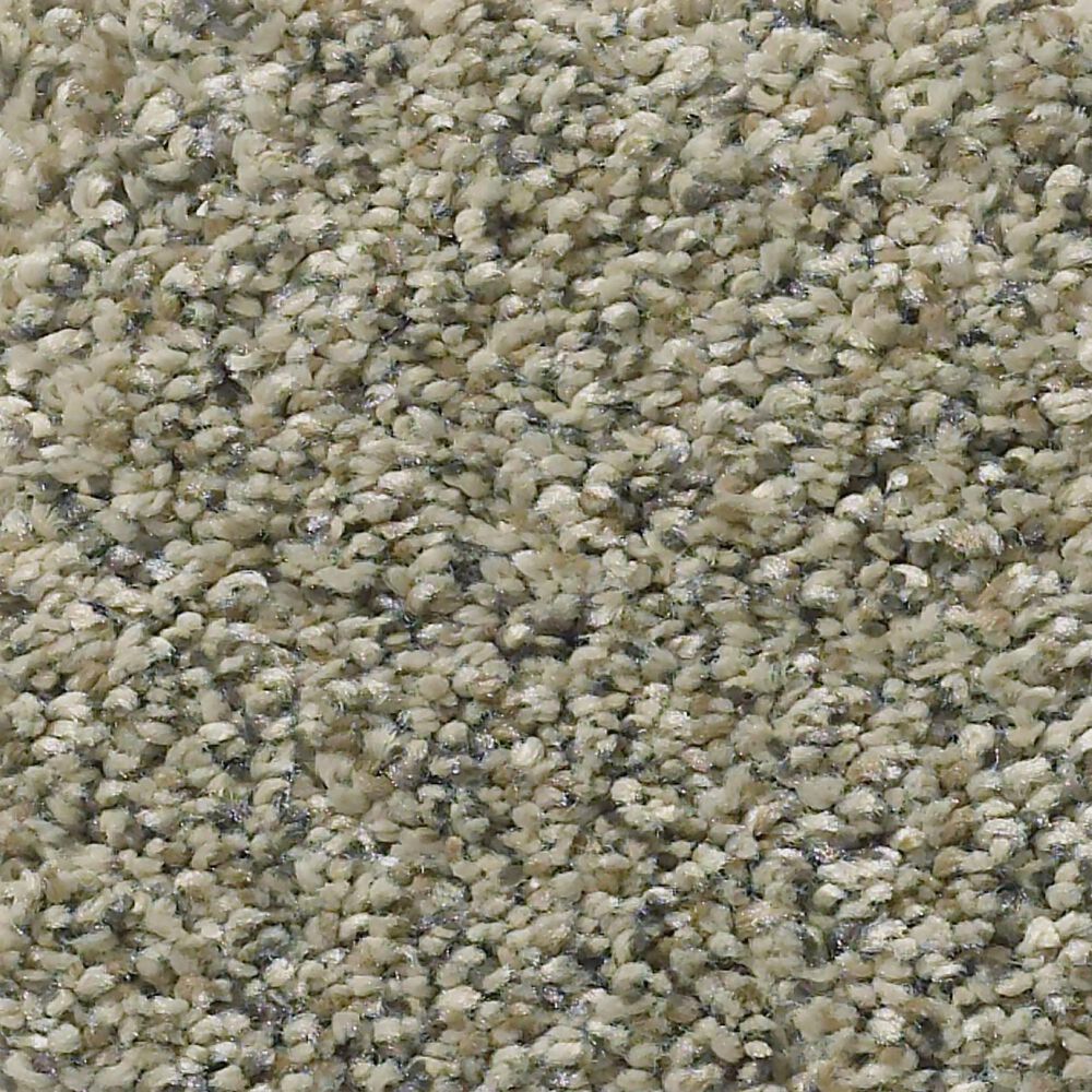 Shaw Simply the Best All Set II Carpet in Tree House, , large