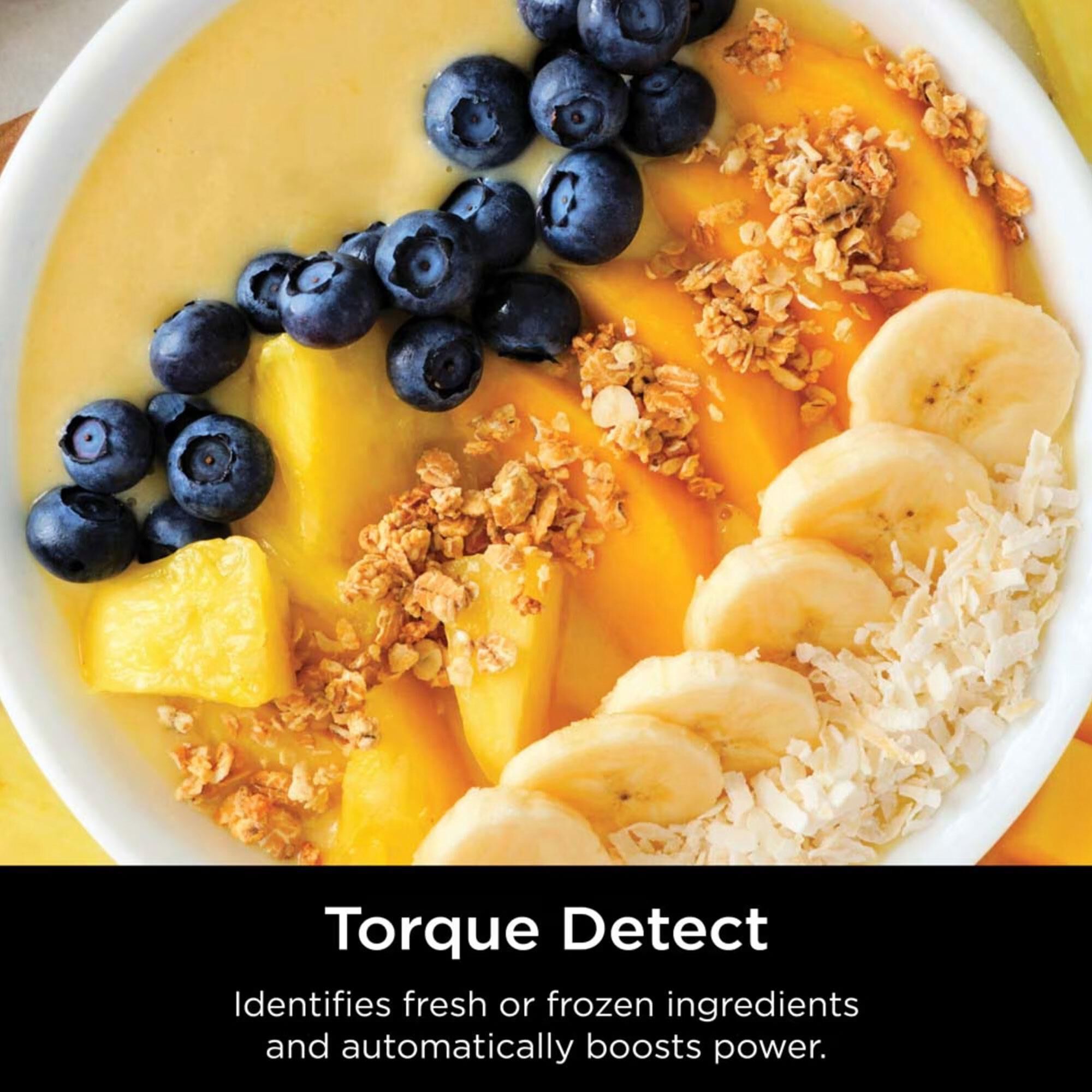 Ninja 10-Speed Detect Power Blender in Cloud Sliver