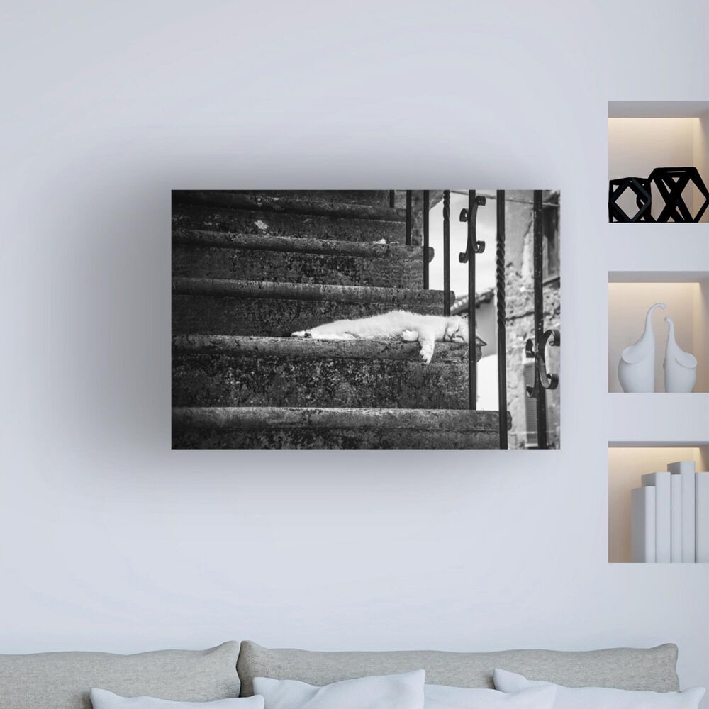 Timberlake Piera Polo &#39;Slow Life&#39; 22&quot; x 32&quot; Canvas Art in Black/Grey/White, , large