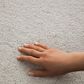 Philadelphia Champagne Taste I Carpet in Frozen, , large