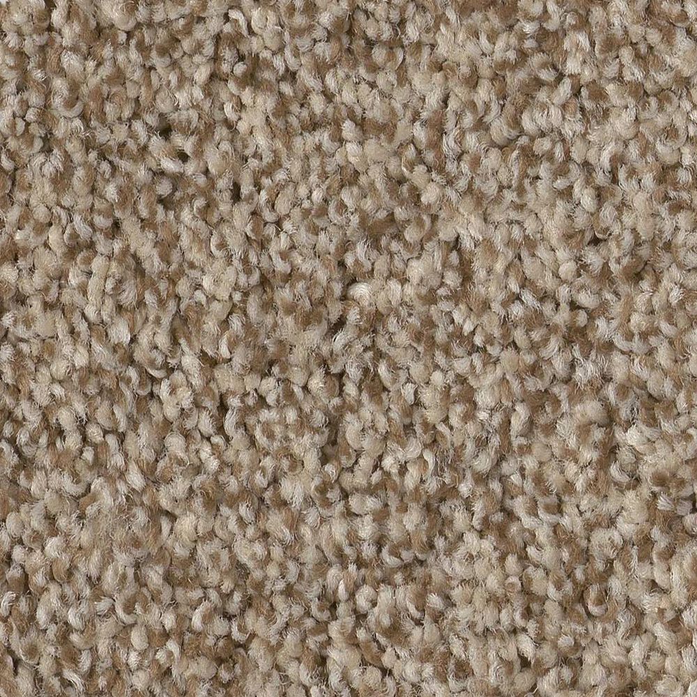 Anderson Tuftex Terra Nova Carpet in Landscape, , large