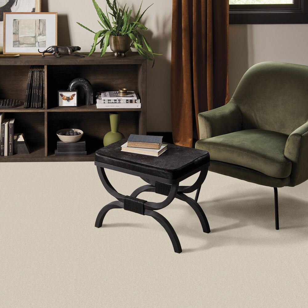Anderson Tuftex Finery Carpet in Alabaster, , large