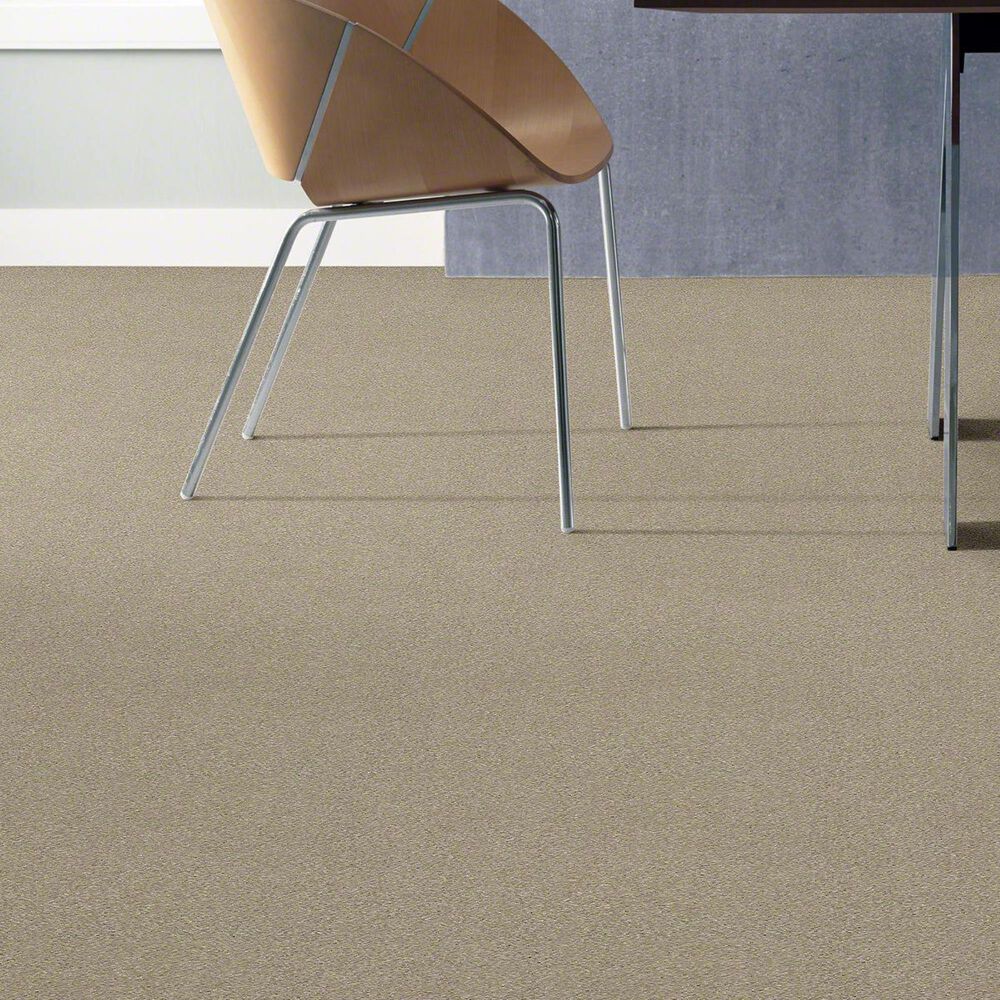 Philadelphia Basic Rules Carpet in Vicuna, , large