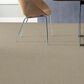 Philadelphia Basic Rules Carpet in Vicuna, , large
