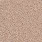 Anderson Tuftex Elegant Beauty Carpet in Apricot Ice, , large