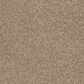 Shaw Tonal Comfort II Carpet in Camping Trip, , large