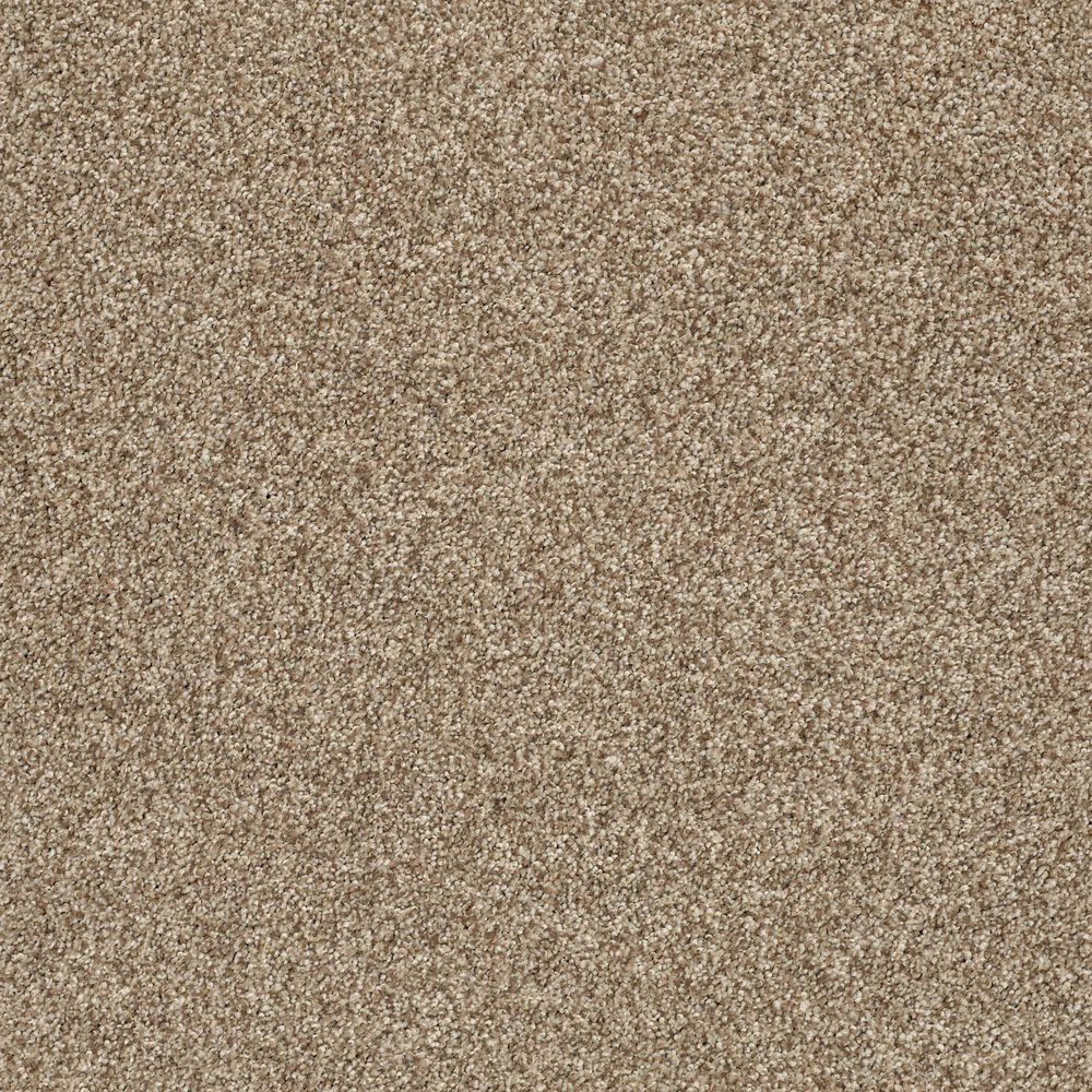 Shaw Tonal Comfort II Carpet in Camping Trip, , large