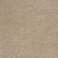 Safavieh Athens Shag SGA119G-8 8" x 10" Beige Area Rug, , large