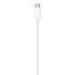 Apple 1-Meter USB-C to Lightning Cable in White, , large