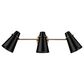 Golden Lighting Reeva 3-Light Bath Vanity with Matte Black Shade in Modern Brass, , large