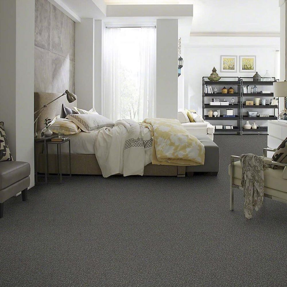 Anderson Tuftex Barracan Classic IV Carpet in Onyx, , large