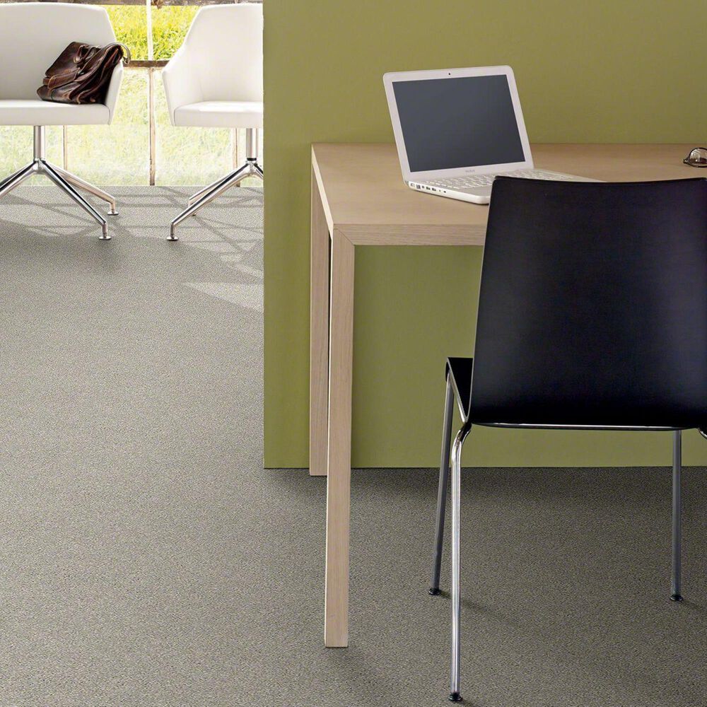 Philadelphia Basic Rules Carpet in Platinum, , large