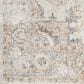 Nourison Astra Machine Washable 4" x 6" Silver and Grey Area Rug, , large