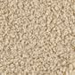 HiEnd Accents Teddy 50" x 60" Throw Blanket in Cream, , large