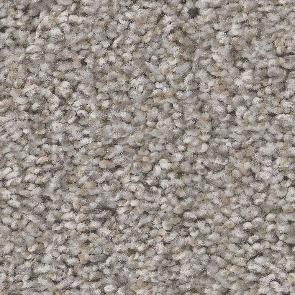 Shaw Always Right II Carpet in Graphite, , large
