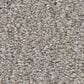 Shaw Always Right II Carpet in Graphite, , large