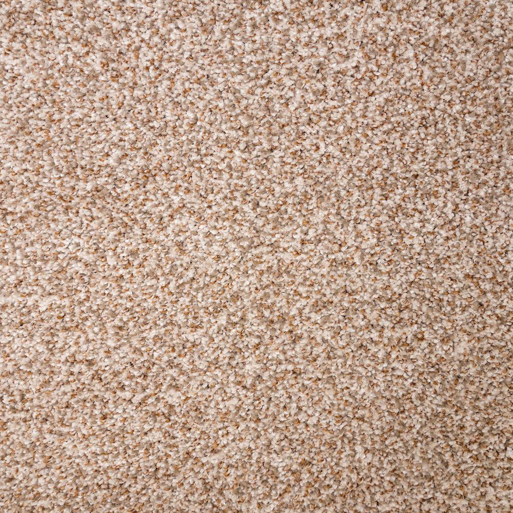 Mohawk Natural Selection I Carpet in Atrium, , large