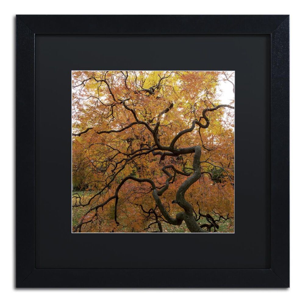 Timberlake 11" x 11" October Japanese Maple Art in Black Matting and Black Frame, , large