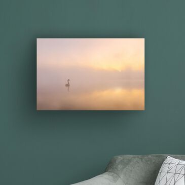 Timberlake Katarzyna Gritzmann "Misty morning" 12" x 19" Canvas Art, , large