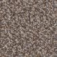 Shaw Truspirit Ii Carpet in Cobble Drive, , large