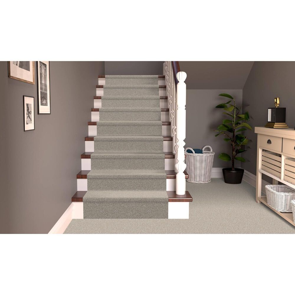 Dixie Home Bella Carpet in Sheltie, , large