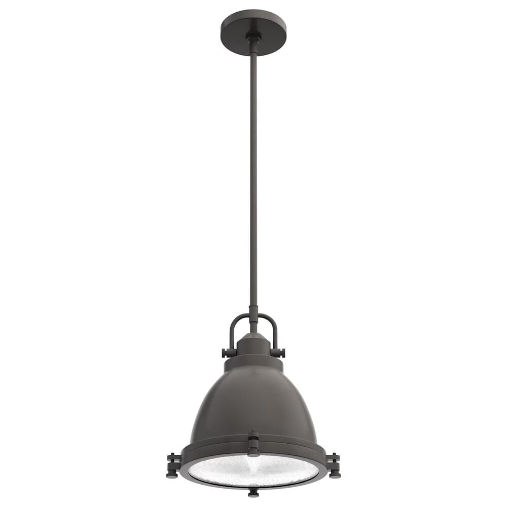 Hunter Bridgemoor 1-Light Pendant in Noble Bronze, , large