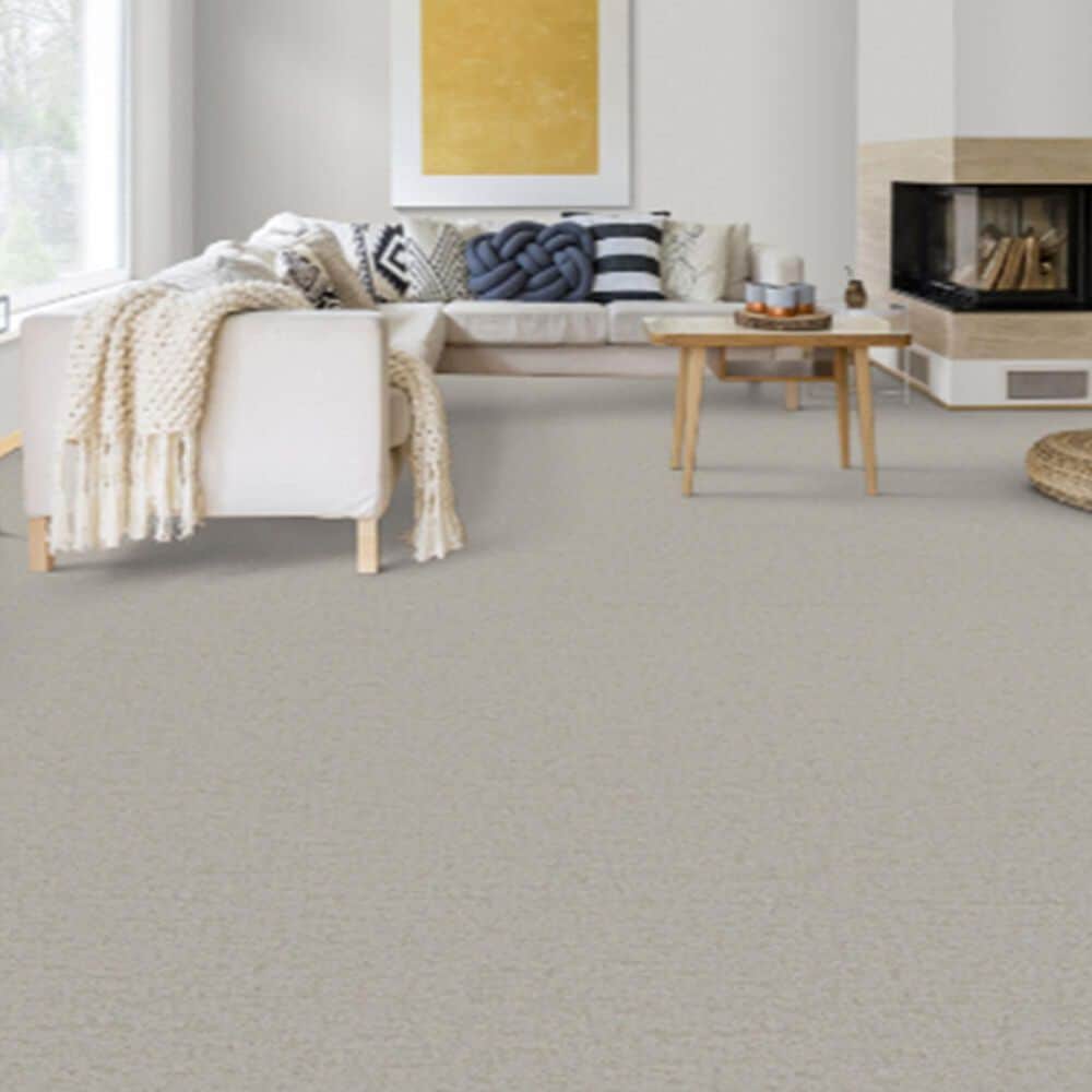 Dixie Home Genuine Carpet in Verified, , large