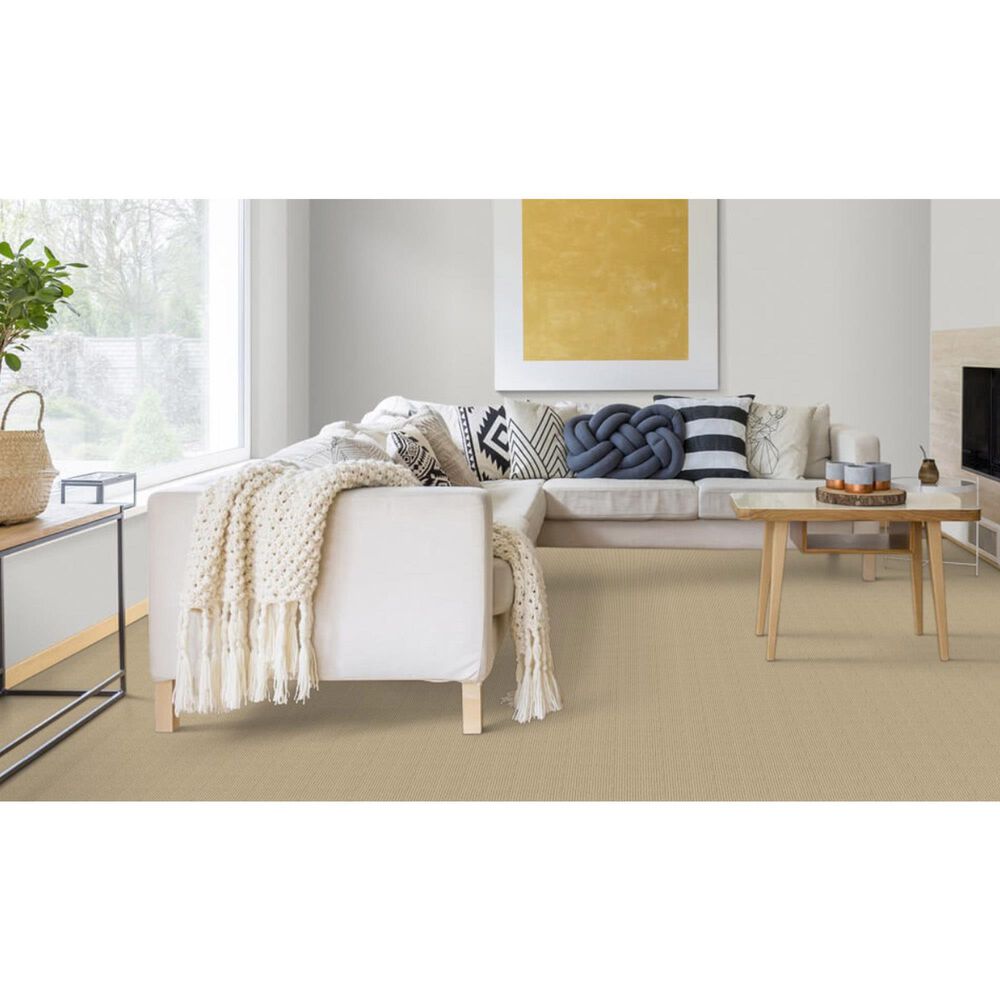 Dixie Home Oak Glen Carpet in Sisal, , large