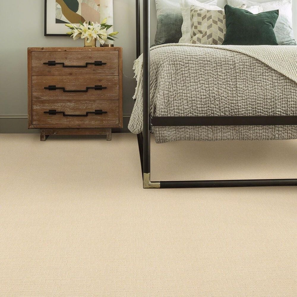 Anderson Tuftex New Tricks Carpet in Antiquity, , large