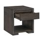 Steve Silver Evan End Table in Walnut Brown, , large