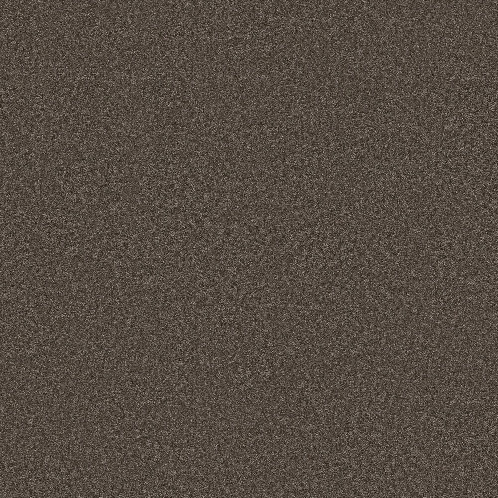 Shaw You Got This II Carpet in Urban Rustic, , large