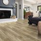 Shaw Tenacious HD Plus Accent Olive Branch 7" x 48" Luxury Vinyl Plank, , large