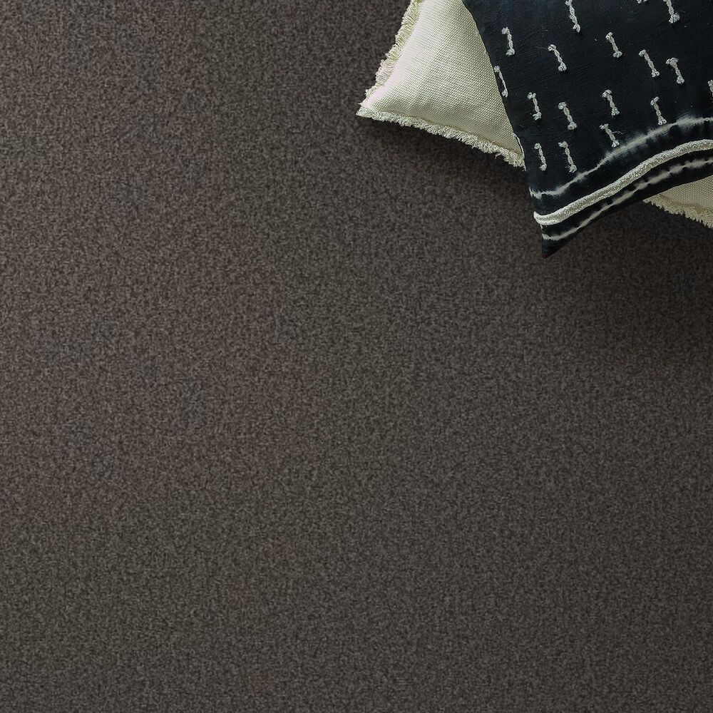 Shaw Tonal Comfort I Carpet in Weekend Getaway, , large