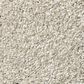 Shaw Find Your Comfort TT II Carpet in Need A Hug, , large