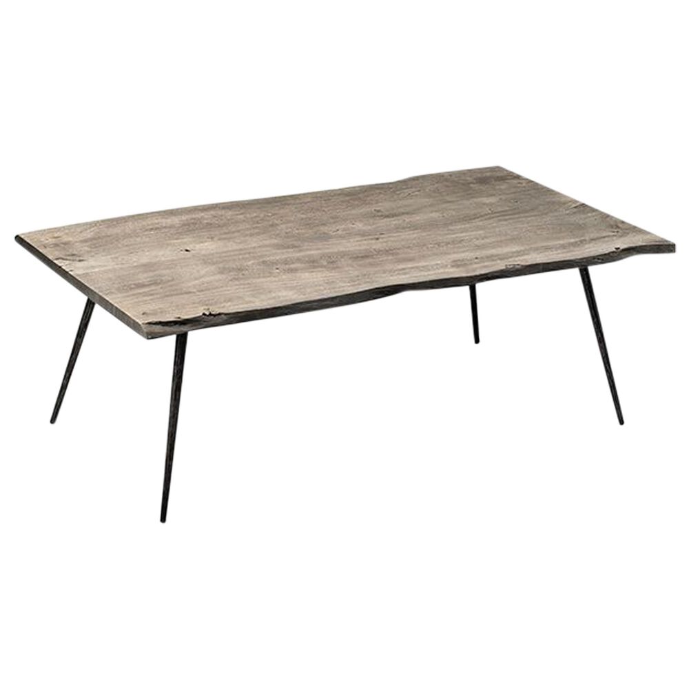 Blue Sun Designs Velez Coffee Table in Grey, , large