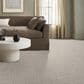 Anderson Tuftex Tangent Carpet in Vintage Find, , large