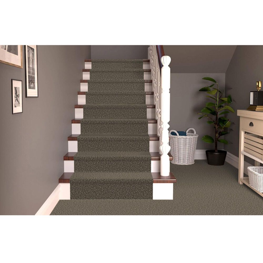 Dixie Home Main Force Carpet in Boulder, , large
