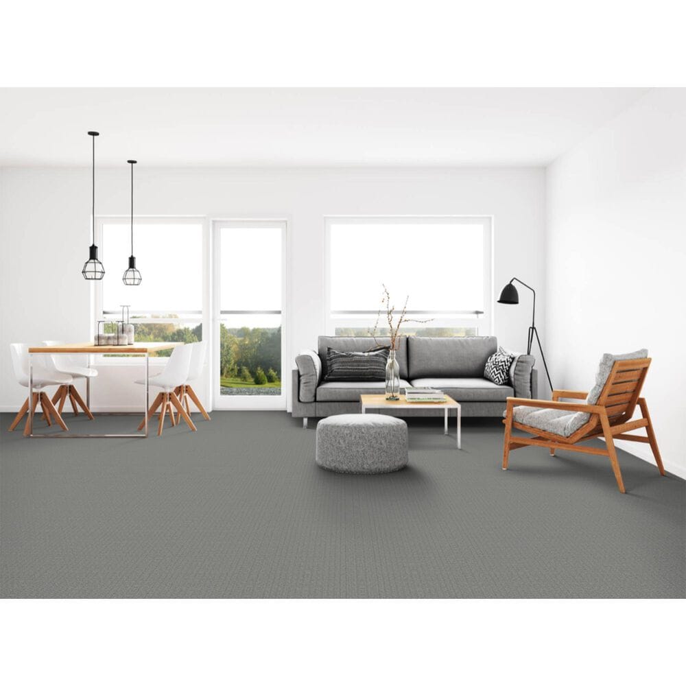 Dixie Home Sensible Carpet in Pebble, , large