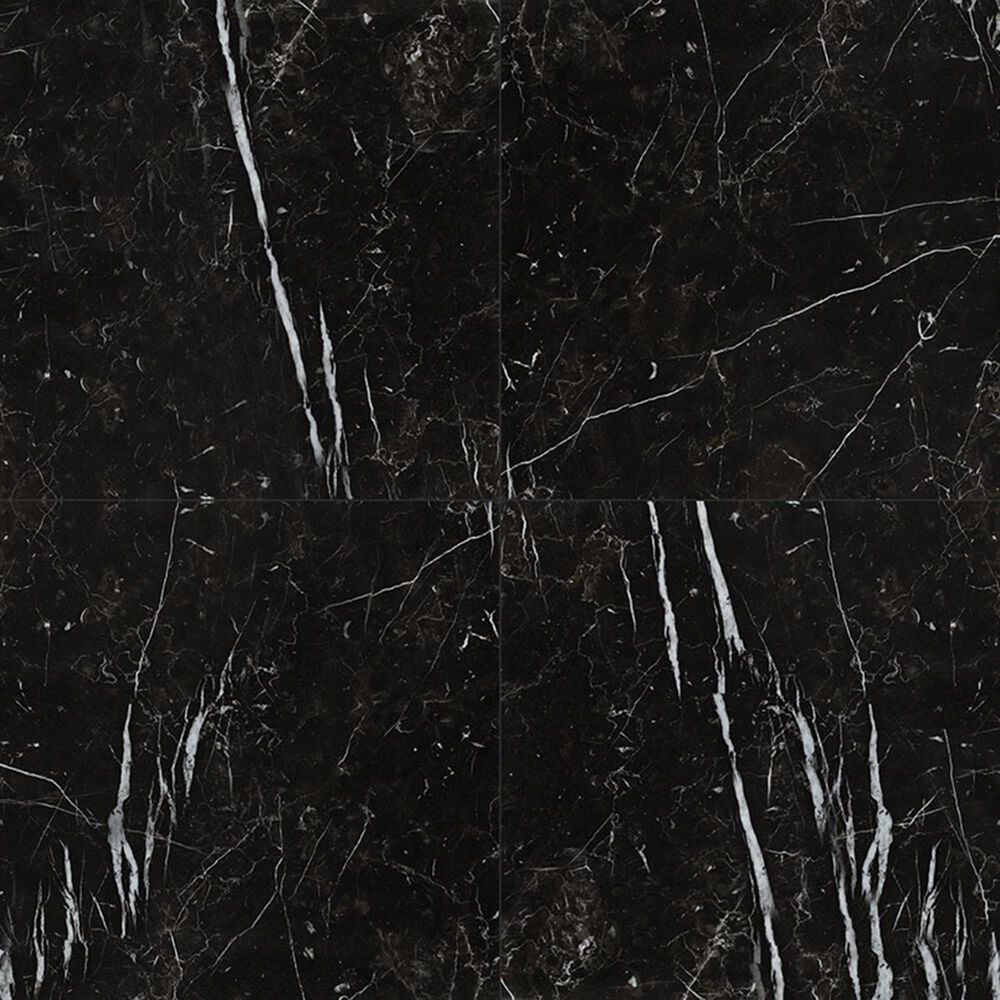 MS International Regallo Marquina Noir 24" x 24" Matte Porcelain Tile, , large