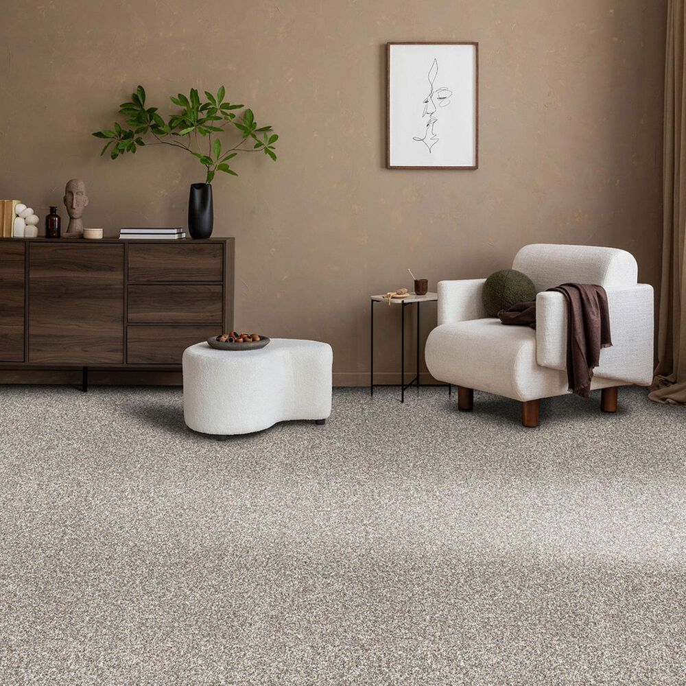 Dream Weaver Affinity IV Carpet in Classy, , large