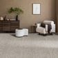Dream Weaver Affinity IV Carpet in Classy, , large