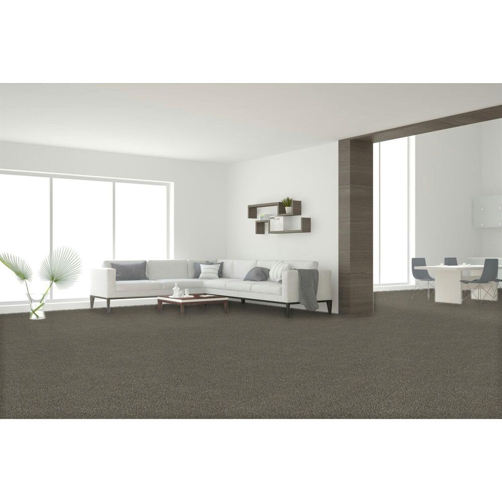 Dream Weaver Gold Standard II Carpet in Pewter, , large