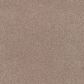 Fabrica Tribute Carpet in Gramercy, , large
