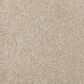 Mohawk Windsor Gardens I Carpet in Sand Dollar, , large