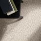 Anderson Tuftex Crochet Carpet in Putty, , large