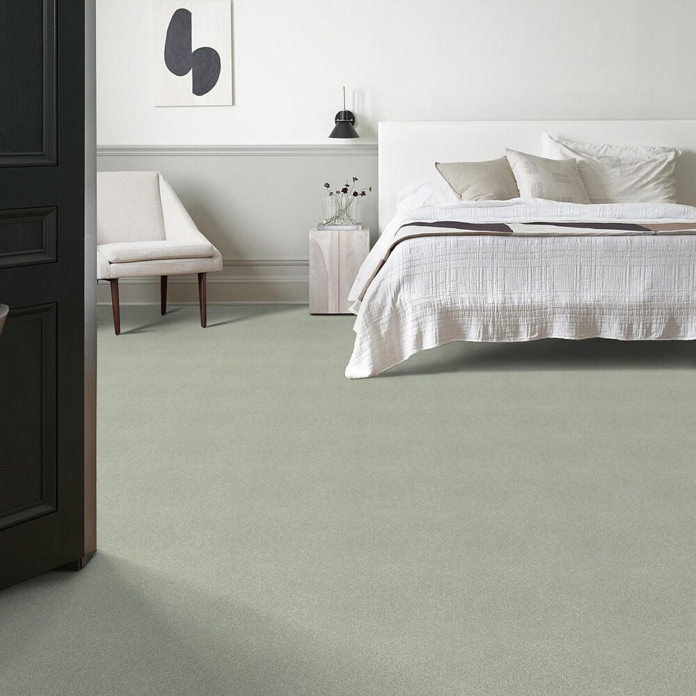 Shaw Tonal Comfort Ii Carpet in Willow Tree, , large